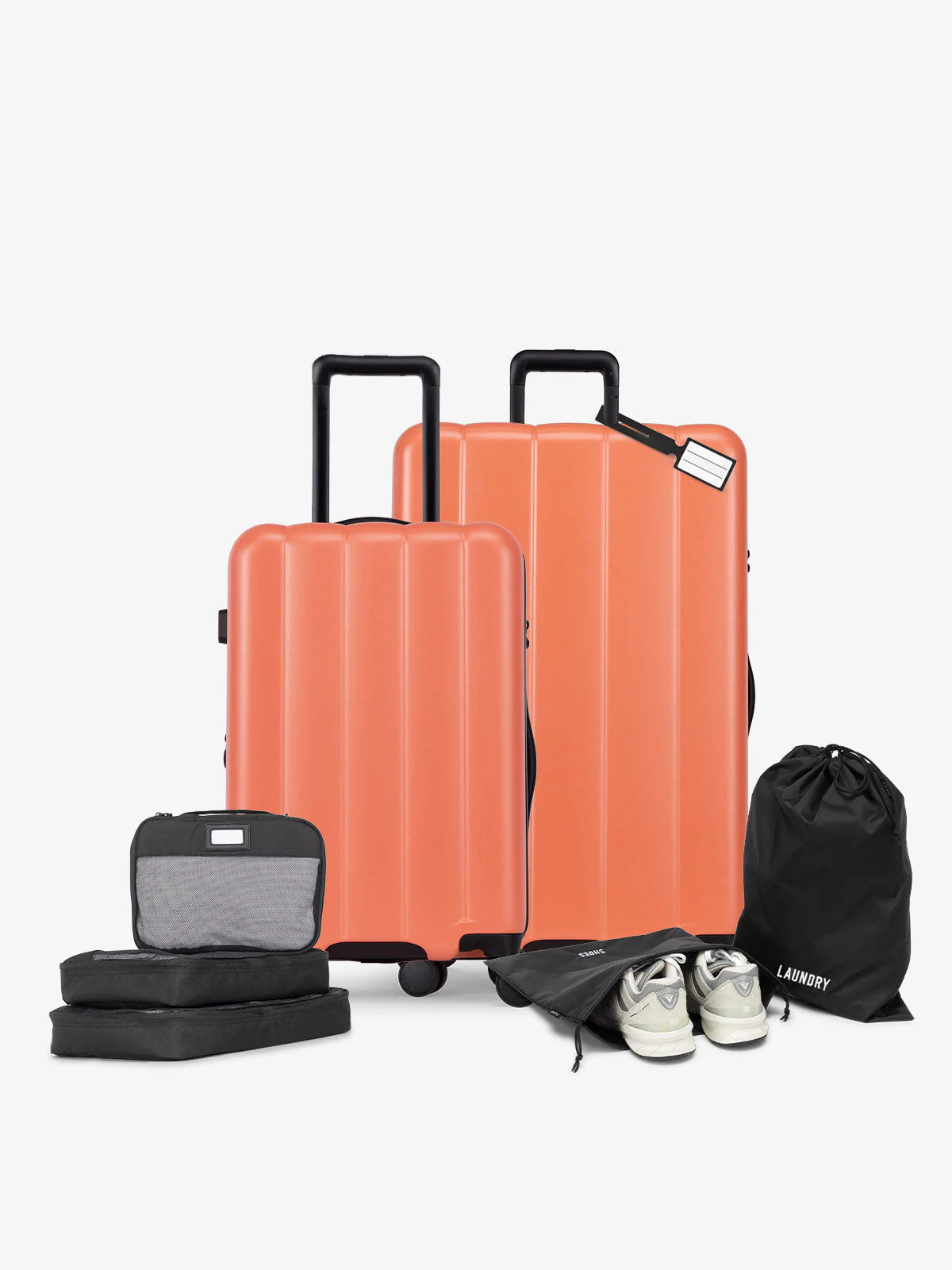 Evry Starter Bundle - Image 32